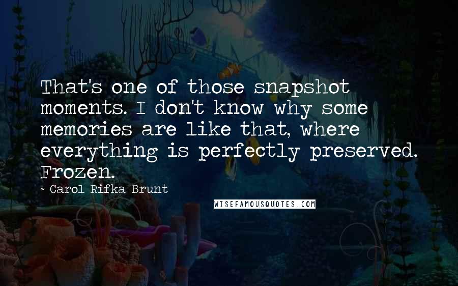 Carol Rifka Brunt Quotes: That's one of those snapshot moments. I don't know why some memories are like that, where everything is perfectly preserved. Frozen.