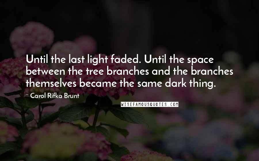 Carol Rifka Brunt Quotes: Until the last light faded. Until the space between the tree branches and the branches themselves became the same dark thing.