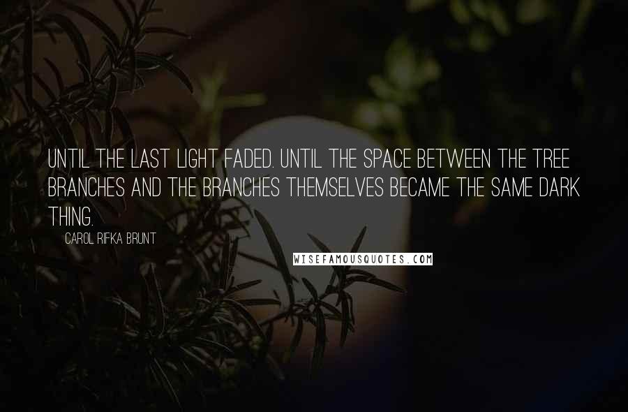 Carol Rifka Brunt Quotes: Until the last light faded. Until the space between the tree branches and the branches themselves became the same dark thing.
