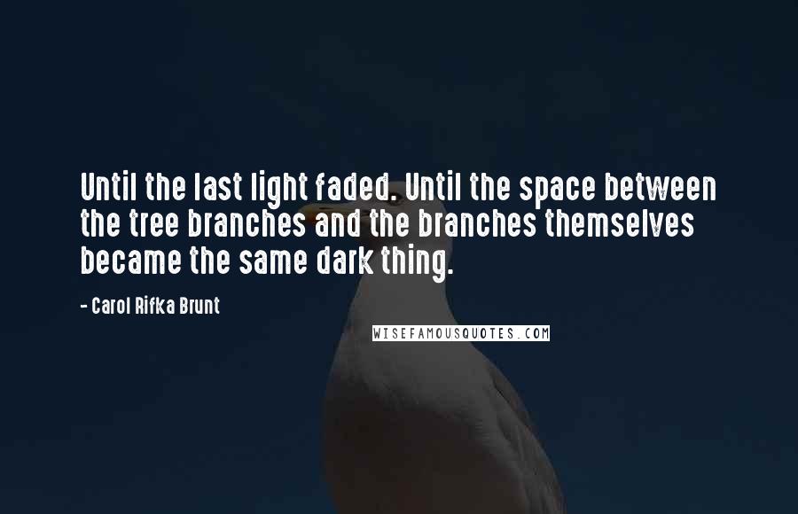 Carol Rifka Brunt Quotes: Until the last light faded. Until the space between the tree branches and the branches themselves became the same dark thing.