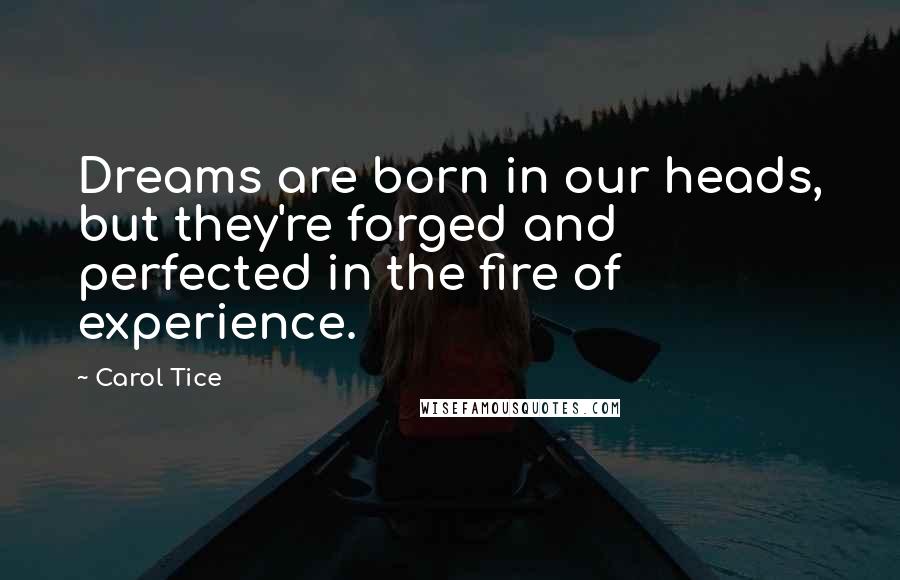 Carol Tice Quotes: Dreams are born in our heads, but they're forged and perfected in the fire of experience.