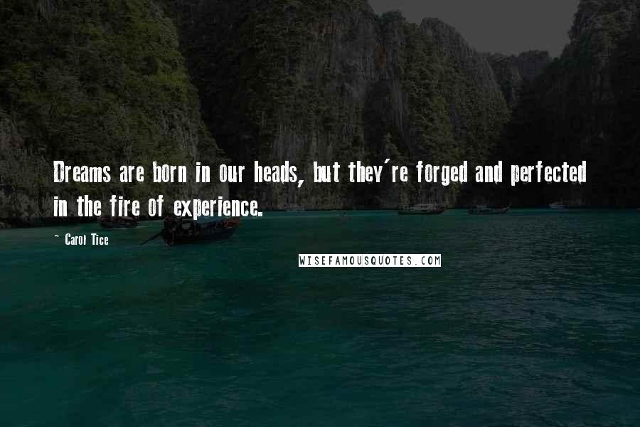 Carol Tice Quotes: Dreams are born in our heads, but they're forged and perfected in the fire of experience.