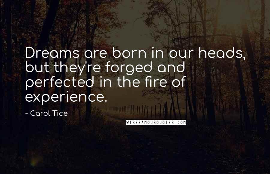 Carol Tice Quotes: Dreams are born in our heads, but they're forged and perfected in the fire of experience.