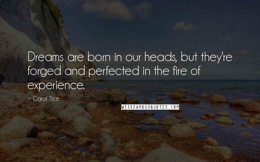 Carol Tice Quotes: Dreams are born in our heads, but they're forged and perfected in the fire of experience.