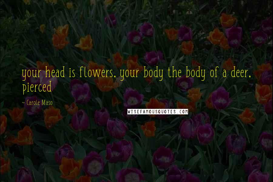 Carole Maso Quotes: your head is flowers, your body the body of a deer, pierced