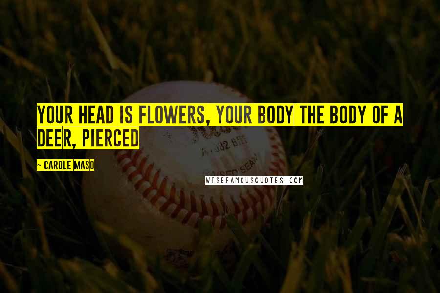 Carole Maso Quotes: your head is flowers, your body the body of a deer, pierced