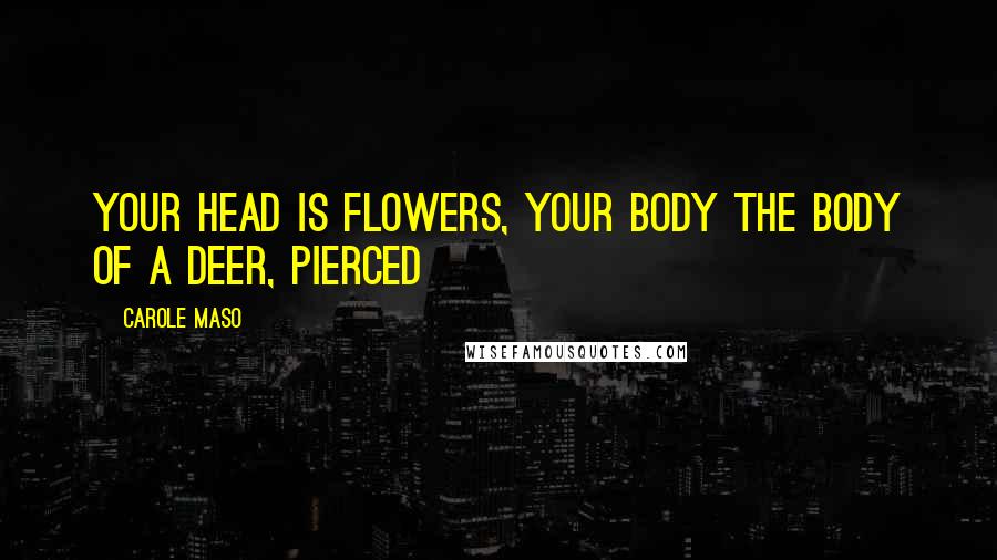 Carole Maso Quotes: your head is flowers, your body the body of a deer, pierced
