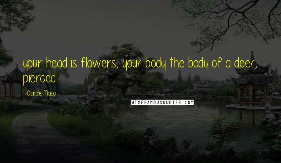 Carole Maso Quotes: your head is flowers, your body the body of a deer, pierced