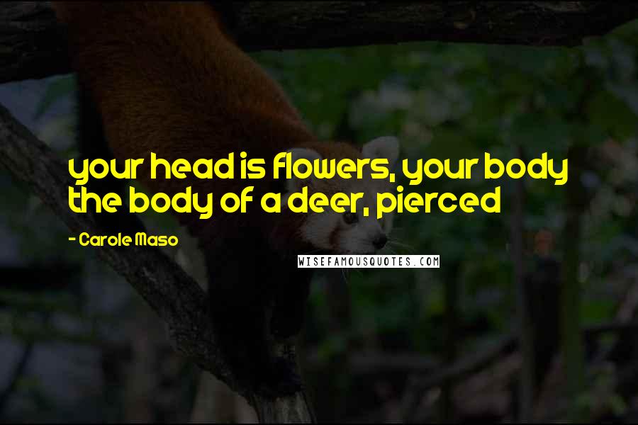 Carole Maso Quotes: your head is flowers, your body the body of a deer, pierced