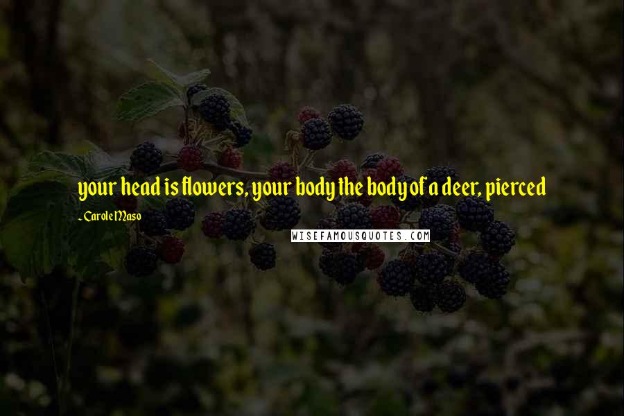 Carole Maso Quotes: your head is flowers, your body the body of a deer, pierced