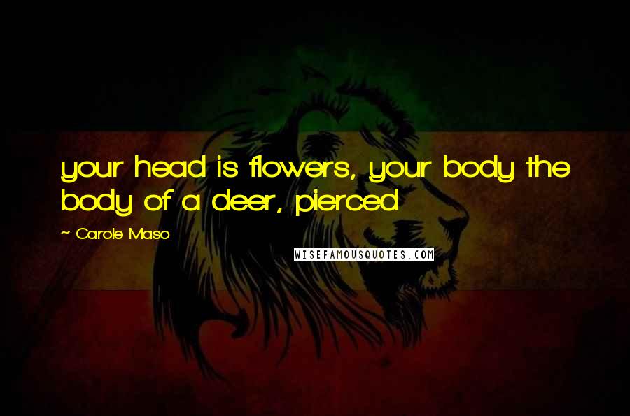 Carole Maso Quotes: your head is flowers, your body the body of a deer, pierced