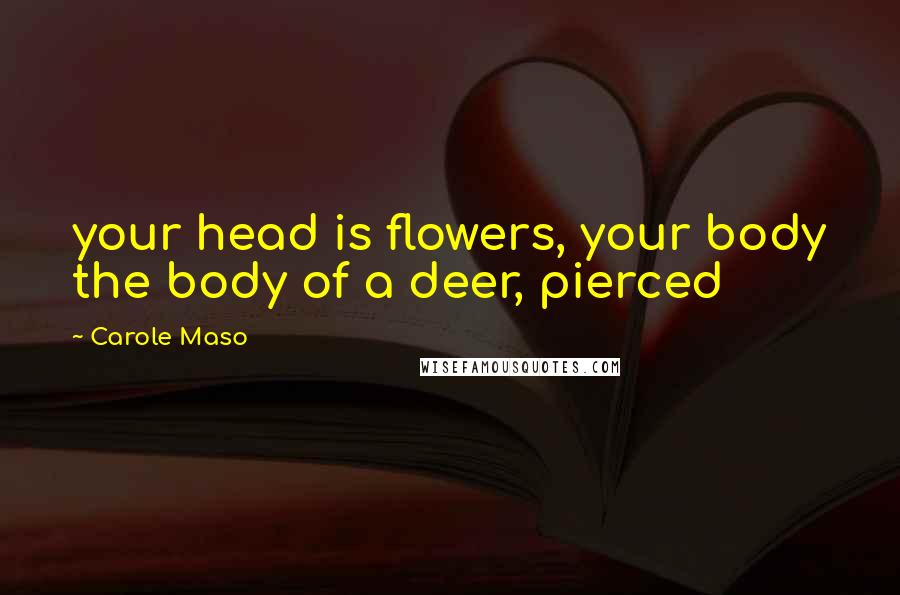 Carole Maso Quotes: your head is flowers, your body the body of a deer, pierced