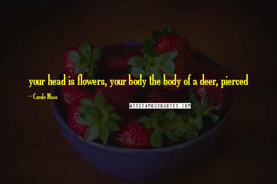 Carole Maso Quotes: your head is flowers, your body the body of a deer, pierced