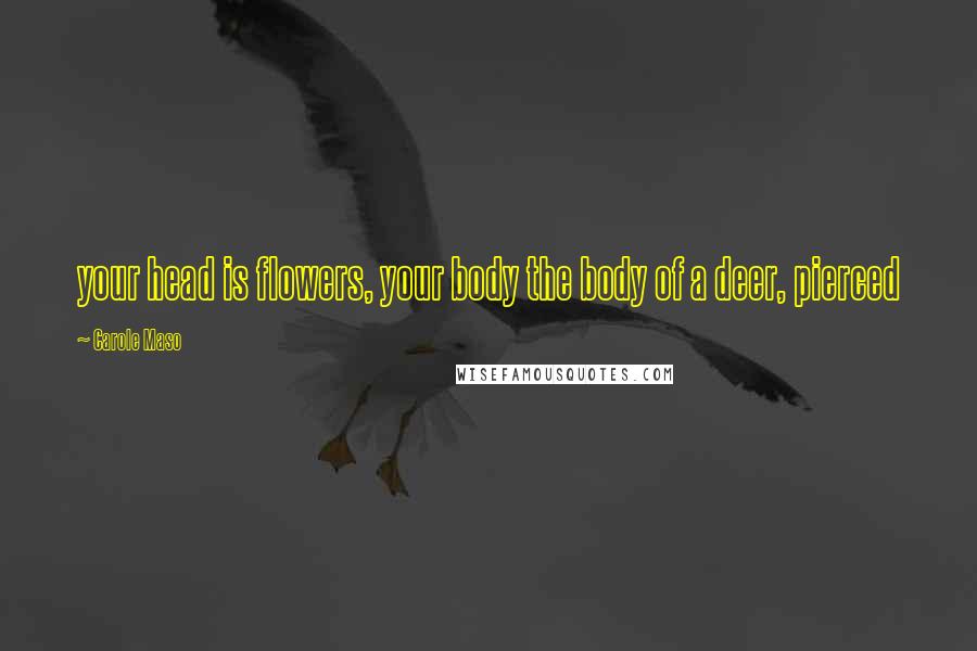 Carole Maso Quotes: your head is flowers, your body the body of a deer, pierced