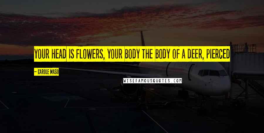 Carole Maso Quotes: your head is flowers, your body the body of a deer, pierced