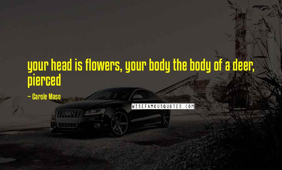 Carole Maso Quotes: your head is flowers, your body the body of a deer, pierced