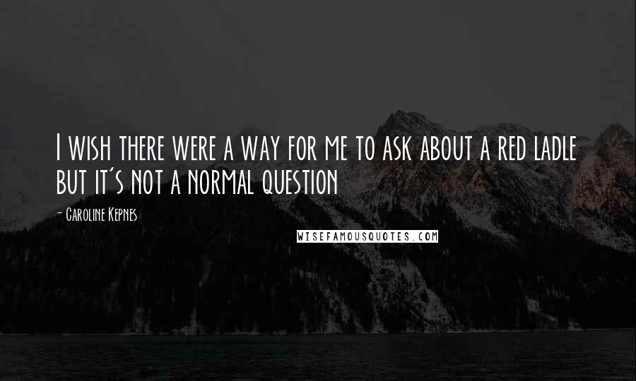 Caroline Kepnes Quotes: I wish there were a way for me to ask about a red ladle but it's not a normal question