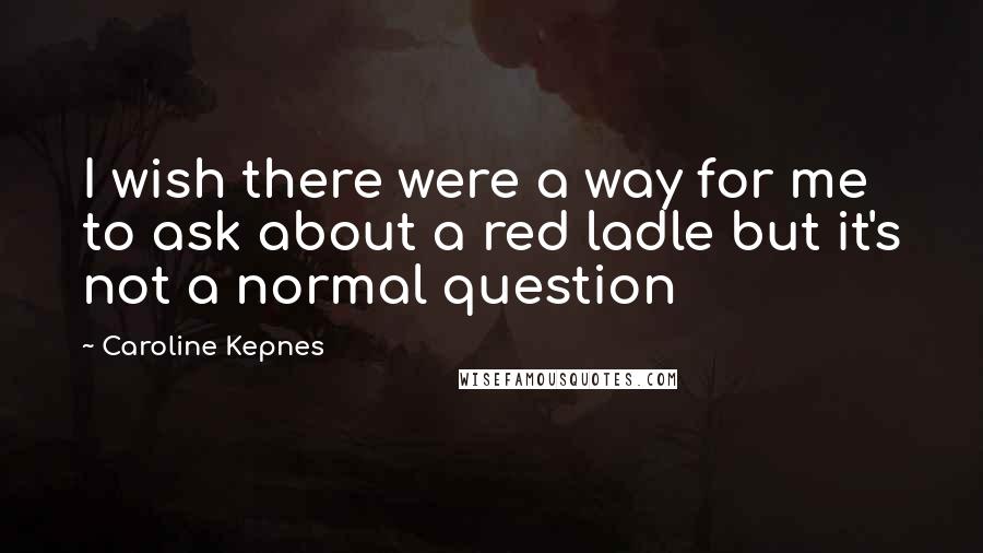 Caroline Kepnes Quotes: I wish there were a way for me to ask about a red ladle but it's not a normal question