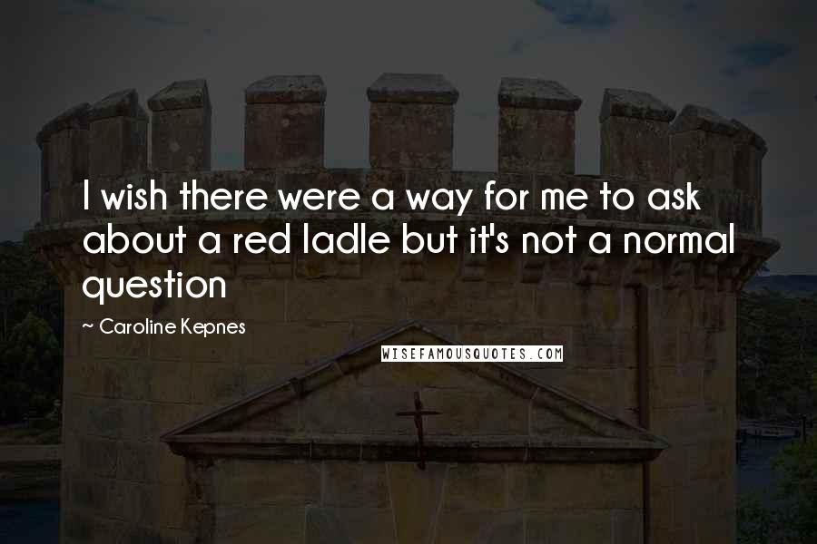 Caroline Kepnes Quotes: I wish there were a way for me to ask about a red ladle but it's not a normal question