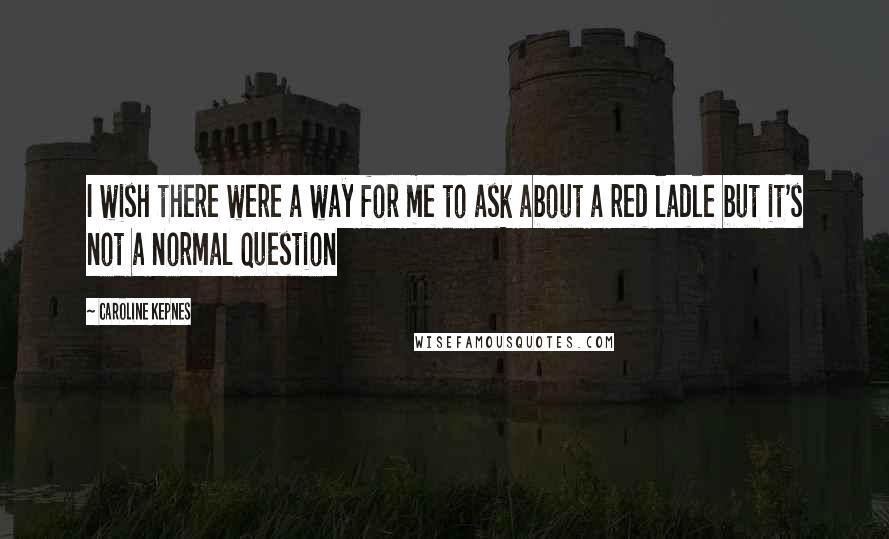 Caroline Kepnes Quotes: I wish there were a way for me to ask about a red ladle but it's not a normal question