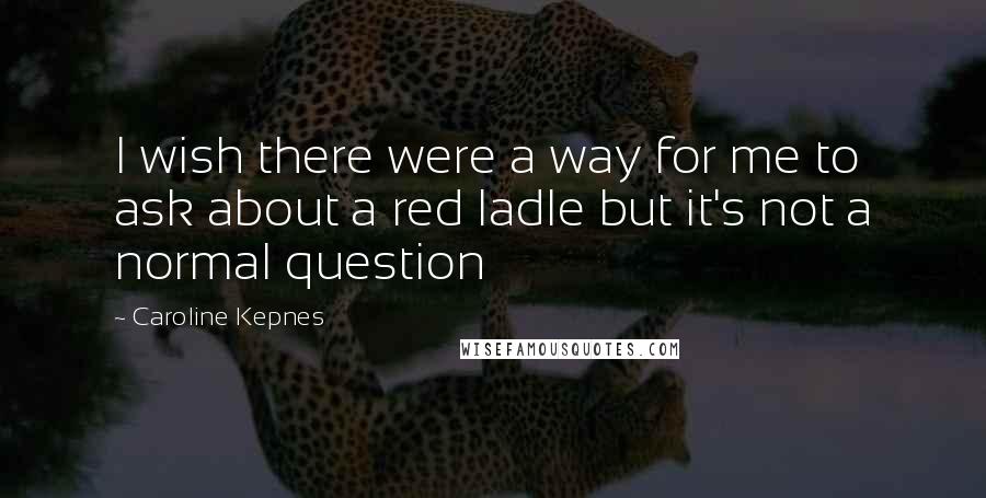 Caroline Kepnes Quotes: I wish there were a way for me to ask about a red ladle but it's not a normal question