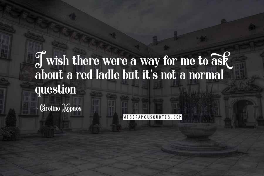 Caroline Kepnes Quotes: I wish there were a way for me to ask about a red ladle but it's not a normal question