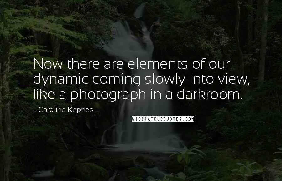 Caroline Kepnes Quotes: Now there are elements of our dynamic coming slowly into view, like a photograph in a darkroom.