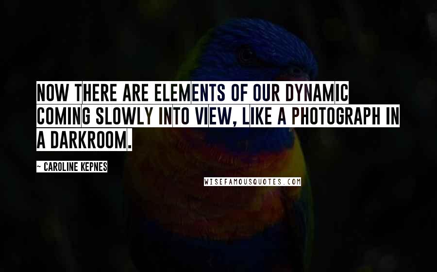 Caroline Kepnes Quotes: Now there are elements of our dynamic coming slowly into view, like a photograph in a darkroom.