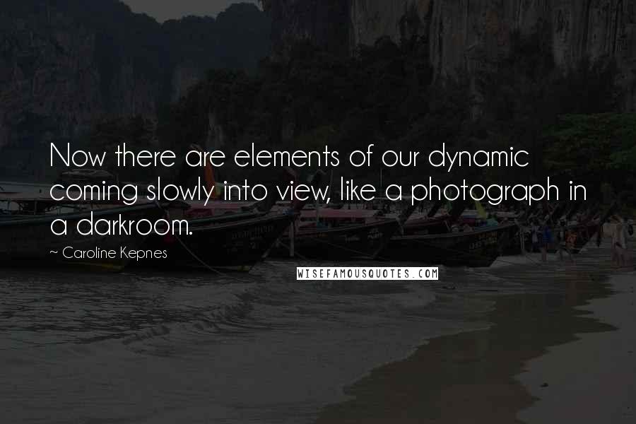 Caroline Kepnes Quotes: Now there are elements of our dynamic coming slowly into view, like a photograph in a darkroom.