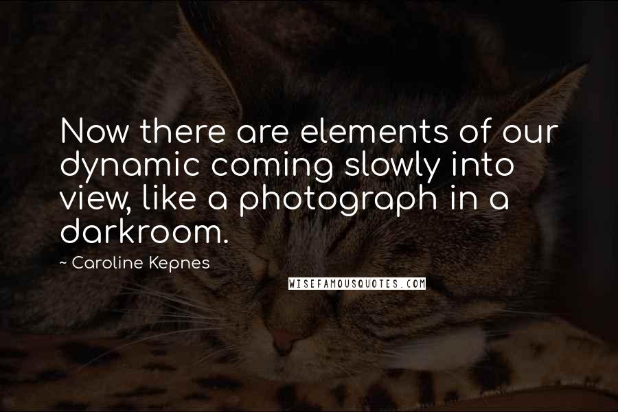 Caroline Kepnes Quotes: Now there are elements of our dynamic coming slowly into view, like a photograph in a darkroom.