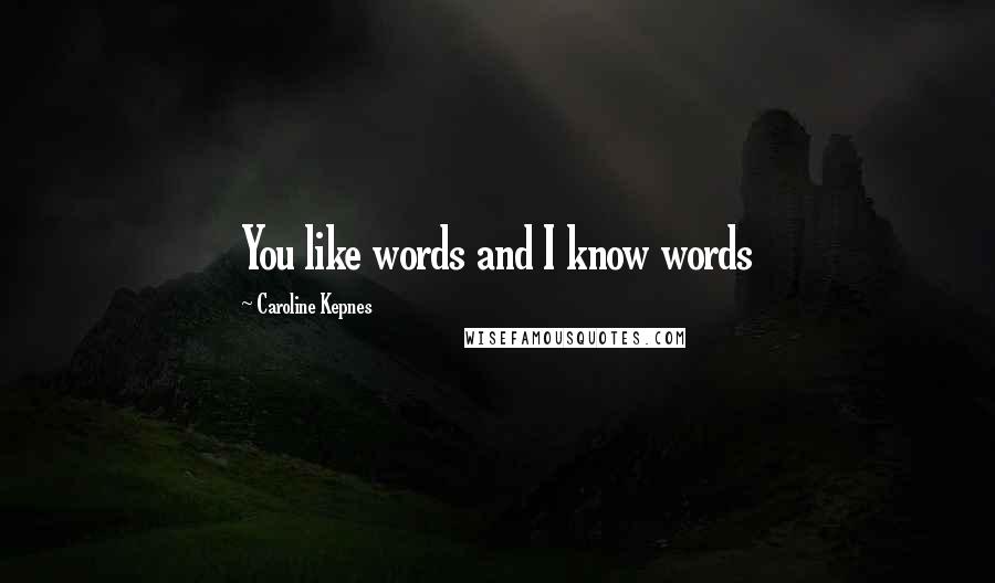 Caroline Kepnes Quotes: You like words and I know words