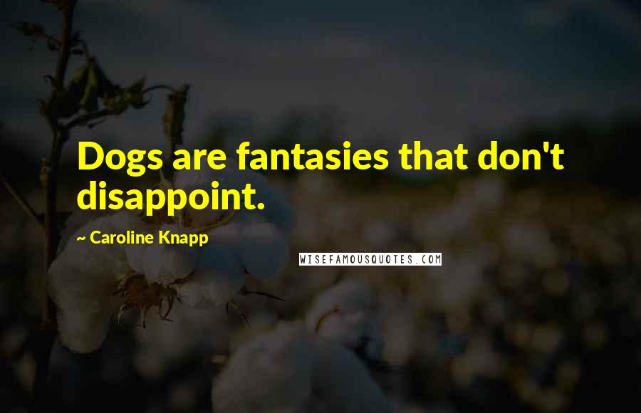 Caroline Knapp Quotes: Dogs are fantasies that don't disappoint.