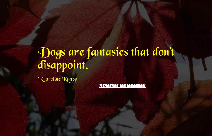 Caroline Knapp Quotes: Dogs are fantasies that don't disappoint.