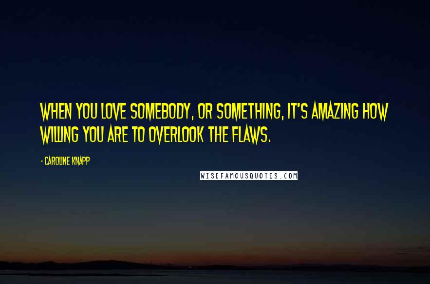 Caroline Knapp Quotes: When you love somebody, or something, it's amazing how willing you are to overlook the flaws.