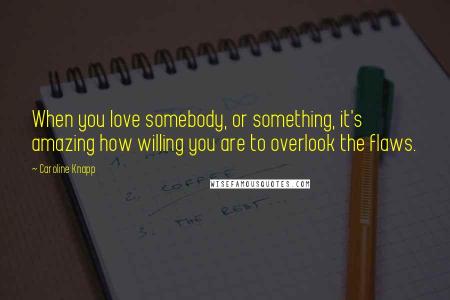 Caroline Knapp Quotes: When you love somebody, or something, it's amazing how willing you are to overlook the flaws.