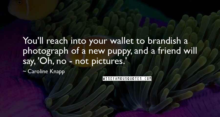 Caroline Knapp Quotes: You'll reach into your wallet to brandish a photograph of a new puppy, and a friend will say, 'Oh, no - not pictures.'