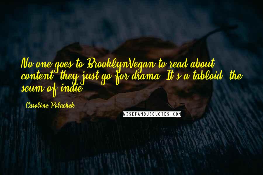 Caroline Polachek Quotes: No one goes to BrooklynVegan to read about content, they just go for drama. It's a tabloid, the scum of indie.