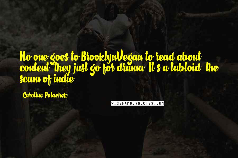 Caroline Polachek Quotes: No one goes to BrooklynVegan to read about content, they just go for drama. It's a tabloid, the scum of indie.