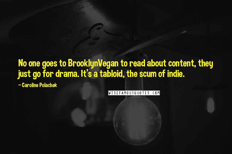 Caroline Polachek Quotes: No one goes to BrooklynVegan to read about content, they just go for drama. It's a tabloid, the scum of indie.