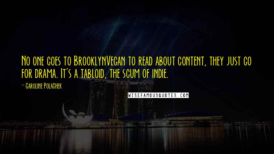 Caroline Polachek Quotes: No one goes to BrooklynVegan to read about content, they just go for drama. It's a tabloid, the scum of indie.