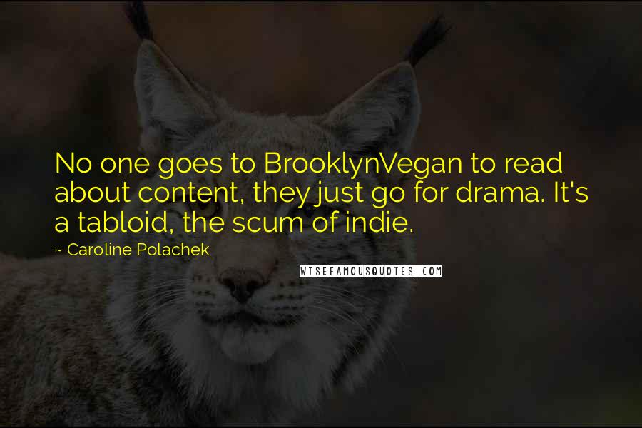 Caroline Polachek Quotes: No one goes to BrooklynVegan to read about content, they just go for drama. It's a tabloid, the scum of indie.