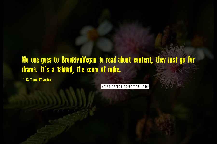 Caroline Polachek Quotes: No one goes to BrooklynVegan to read about content, they just go for drama. It's a tabloid, the scum of indie.