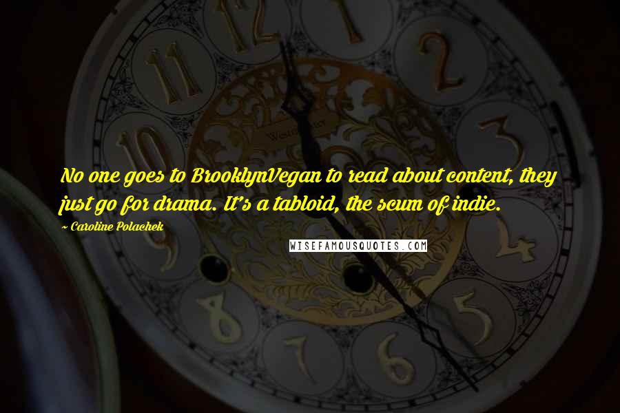 Caroline Polachek Quotes: No one goes to BrooklynVegan to read about content, they just go for drama. It's a tabloid, the scum of indie.