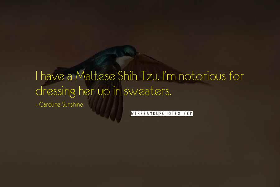 Caroline Sunshine Quotes: I have a Maltese Shih Tzu. I'm notorious for dressing her up in sweaters.