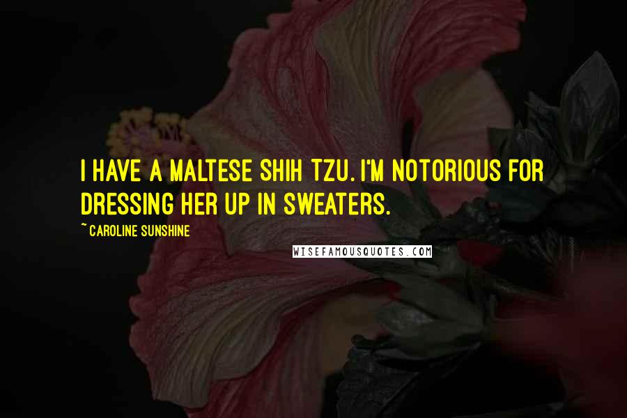 Caroline Sunshine Quotes: I have a Maltese Shih Tzu. I'm notorious for dressing her up in sweaters.