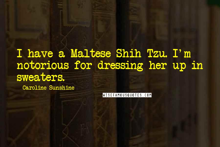 Caroline Sunshine Quotes: I have a Maltese Shih Tzu. I'm notorious for dressing her up in sweaters.