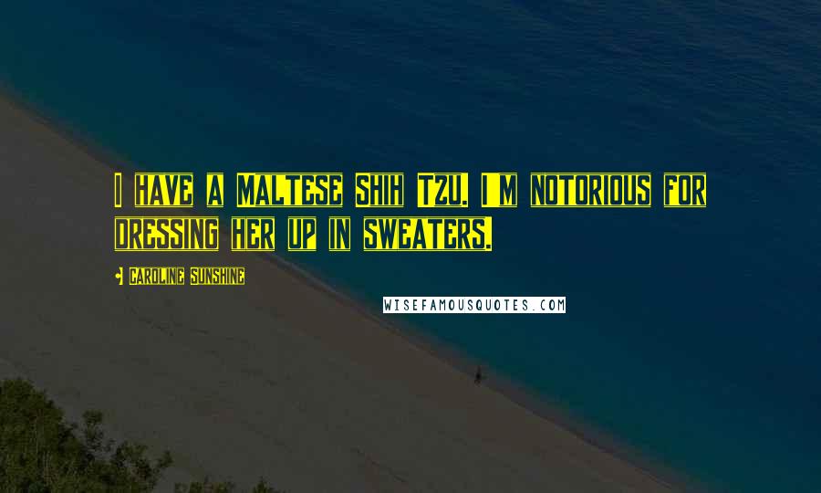 Caroline Sunshine Quotes: I have a Maltese Shih Tzu. I'm notorious for dressing her up in sweaters.