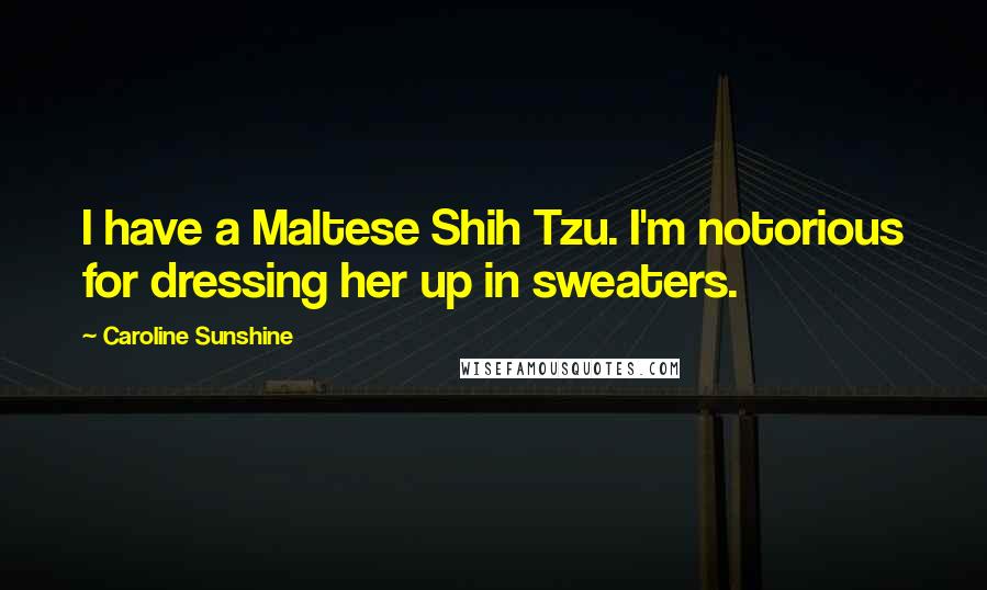 Caroline Sunshine Quotes: I have a Maltese Shih Tzu. I'm notorious for dressing her up in sweaters.