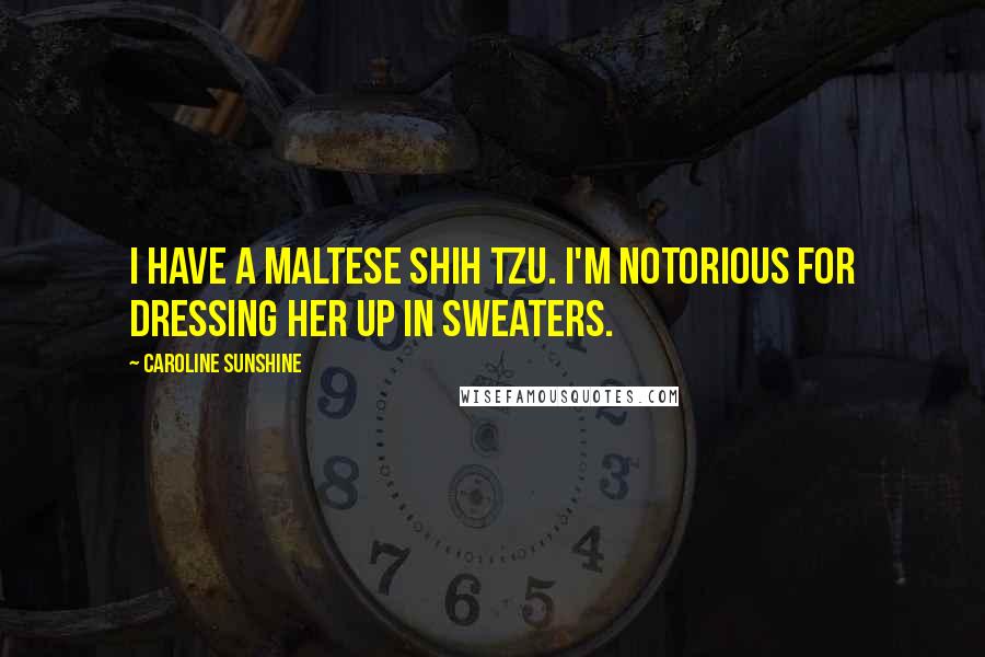 Caroline Sunshine Quotes: I have a Maltese Shih Tzu. I'm notorious for dressing her up in sweaters.