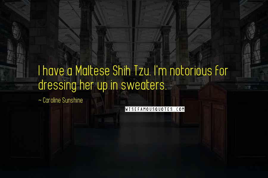 Caroline Sunshine Quotes: I have a Maltese Shih Tzu. I'm notorious for dressing her up in sweaters.
